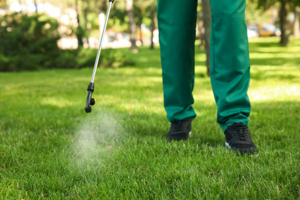 Professional Pest Control in St Helena, CA